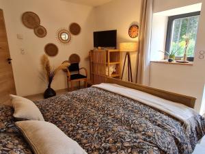 a bedroom with a bed and a tv and a window at Chambre d'hôtes tranquille avec entrée indépendante et parking à Ormes-et-Ville - FR-1-584-382 