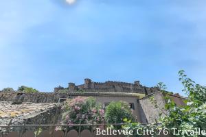 a castle with flowers on the roof of a building at Les Bellevue Cité Trivalle, Cité 500m, free private car park on demand, free public car park 200m, aircon, WIFI, Cité view terrace in Carcassonne