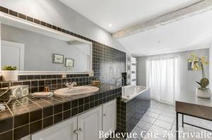 a bathroom with a sink and a tub and a mirror at Les Bellevue Cité Trivalle, Cité 500m, free private car park on demand, free public car park 200m, aircon, WIFI, Cité view terrace in Carcassonne