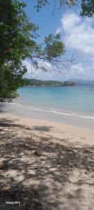 a beach with the ocean in the background at Studio de l'Anse Rouge Tartane in La Trinité