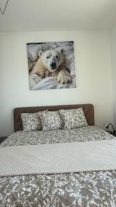 a picture of a dog laying on a bed at White Bear Apartment in Suwałki +33 photos