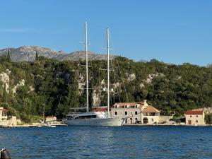 a boat sitting in the water next to a house at Villa Nada in Banići