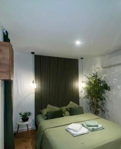 a bedroom with a green bed and a plant at Studio cosy cœur de ville in Vienne
