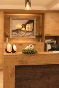 Kuchyňa alebo kuchynka v ubytovaní Aparthaus Camping Stubai