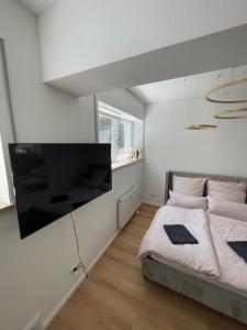 una camera da letto con una grande TV a schermo piatto a parete di Cozy studio apartment a Neuburg an der Donau