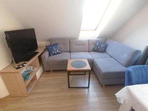 a living room with a couch and a tv at Agroturystyka Nocleg na Górce in Łajsy