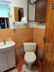 a bathroom with a toilet and a sink and a mirror at Chata Carla in Žiar +27 photos