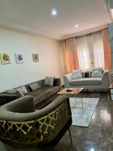 Peridot Apartment Central Area, Abuja的休息区