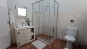 Un baño con ducha, inodoro y lavabo. en Apartamento no Centro Histórico-2, en São João del Rei