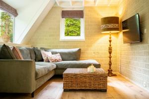 TV a/nebo společenská místnost v ubytování Boshuisje Rekem - Nilsson + 25 fotografií