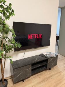 TV a/nebo společenská místnost v ubytování Spacious villa + 6 fotografií