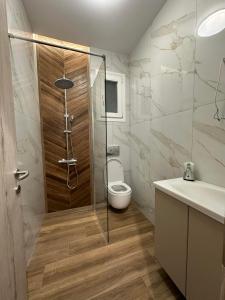 a bathroom with a shower and a toilet and a sink at Xenia luxury apartment in Katerini +9 photos