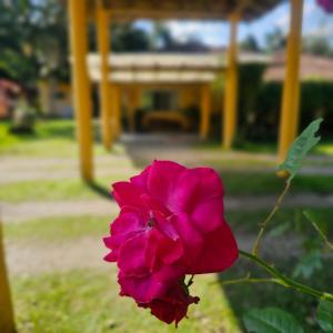 Φωτογραφία από το άλμπουμ του Pousada Monte Crista σε Garuva +21 φωτογραφίες