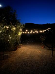 a garden lit up at night with lights at La Ghiandaia in Porto Ercole