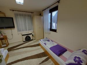 a room with a bed and a tv in it at Family vendégház in Túrkeve