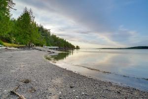 una spiaggia con alberi sulla riva di un lago di 2 Blocks to Puget Sound Beach Lummi Island Home a Lummi Island