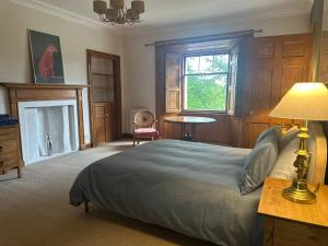 1 dormitorio con 1 cama con lámpara y chimenea en Georgian Park View Apartment, en Perth