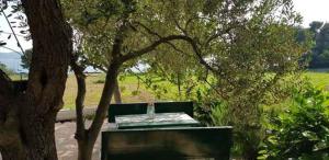 a green bench sitting next to a tree at Holiday home in Sv. Filip i Jakov 53599 in Sveti Filip i Jakov +1 photo