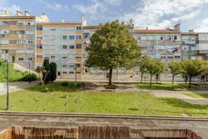 a tree in a park in front of a building at Amadora Flat 3 in Amadora
