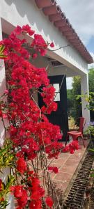 Galeriebild der Unterkunft Casas do Alpendre in Óbidos + 34 Fotos