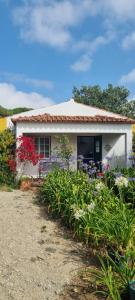 En have udenfor Casas do Alpendre + 34 billeder