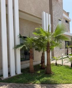 two palm trees in front of a building at Villa Kaima Marrakech jacuzzi chauffé in Marrakesh