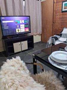 a living room with a television and a white rug at Kitnet Centro in Santo Antônio do Pinhal