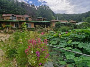 ein Garten mit rosa Blumen vor einem Haus in der Unterkunft Red Clay Pension Dream Conversation in Donghae + 53 Fotos