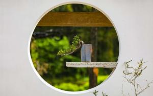Fotografie z fotogalerie ubytování Ruyuan Xiaomanli v destinaci Shanyinling