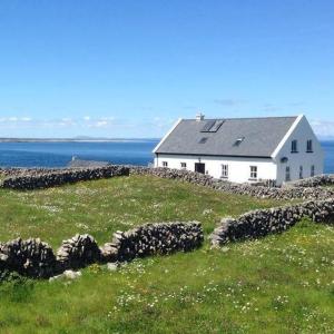 a house on top of a field next to the ocean at An Creagán Rooms in Inisheer