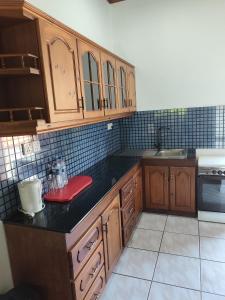 Kuchyň nebo kuchyňský kout v ubytování Vijai Resort