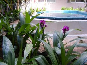 Fotografie z fotogalerie ubytování Central Motel v destinaci Rarotonga