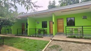 a green house with wooden doors and a yard at Malunggay's Inn in Panglao Island
