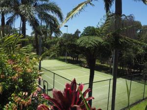 a tennis court with a tennis racket on it at The Oasis Apartments and Treetop Houses in Byron Bay