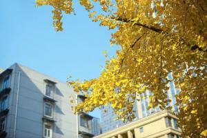 Το κτήριο όπου στεγάζεται  το ξενοδοχείο