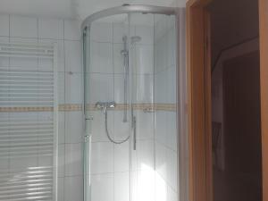 a shower with a glass door in a bathroom at Ferienwohnung Maria Bauer in Kelheim +6 photos