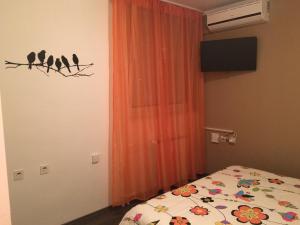 Fotografie z fotogalerie ubytování Apartments Mikulić v destinaci Zadar + 37 fotografií