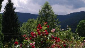a group of trees with flowers and mountains in the background at Olko House in Yaremche +114 photos