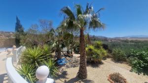 una vista de un jardín con palmeras en Villa Rojas Delrie, en Cuevas del Almanzora