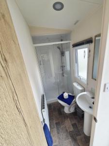 a bathroom with a shower and a toilet and a sink at New 2 bed holiday home with decking in Rockley Park Dorset near the sea in Lytchett Minster