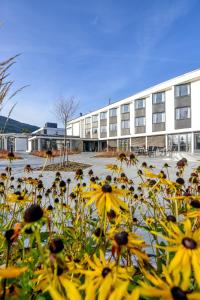 a group of yellow flowers in front of a building at Hurdalsjøen Hotel in Hurdal