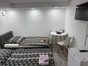 Gallery image of Rose in Günzburg +14 photos