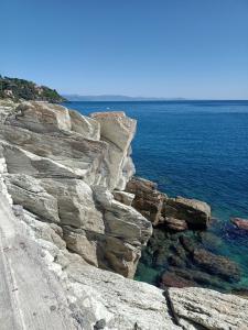 Naturlandskabet i nærheden af lejligheden + 8 billeder