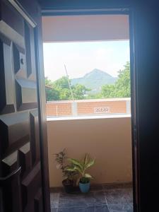 ティルヴァンナーマライにあるperumal home stayの窓と植物のある部屋への扉
