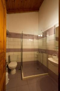ein Bad mit einer Dusche, einem WC und einem Waschbecken in der Unterkunft Renata Rooms & Studios in Barbati