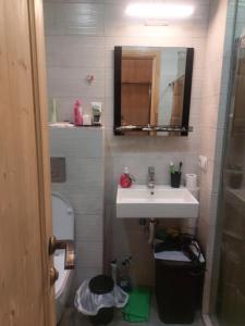 a bathroom with a sink and a toilet and a mirror at The Valley Residenses Bakuriani in Itʼkhvisi +2 photos