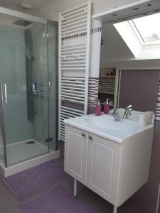 een badkamer met een witte wastafel en een douche bij Au bon Vivant in Dampierre-sur-Salon +8 foto's