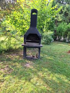a black stove sitting in the grass in a yard at Hochwald chalet in Bad Sachsa