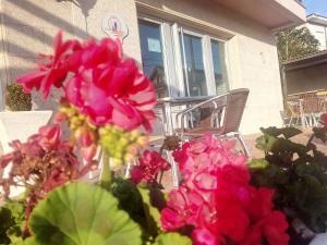 A garden outside Albergue As Eiras