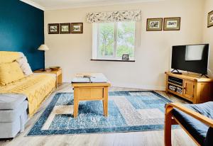 TV a/nebo společenská místnost v ubytování Maesyfelin Isaf Apartment